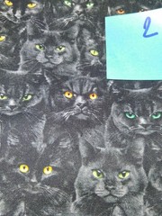 Wicked Black Cats By SOHO Fabrics 2 Yards!