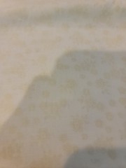 Cotton fabric Subtle Song Danhui, Wilmington prints