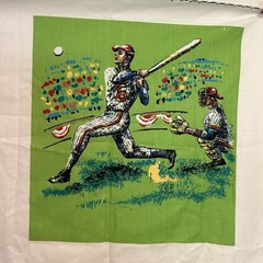 Sports Collection Fabric Panel Squares Basketball Soccer Cycling Baseball