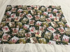 Blossom Fairies Flower Fairies Cicely Mary Barker Fabric 1 Yard (42×32)