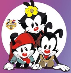 Animaniacs # 10 – 8 x 10 – T Shirt Iron On Transfer