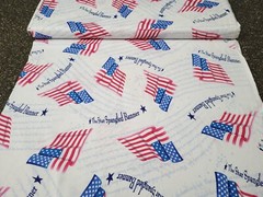 A Nation’s Song BTY Quilting Treasures Red Blue Flag Star Spangled Banner White