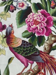 CHARLES BURGER CURTAIN FABRIC DESIGN Phesans 5.2 METRES PEONY 100% LINEN