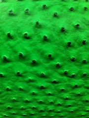 Neon Lime ostrich faux vinyl Marine grade UV Fabric Sold By The Yard For Upholst