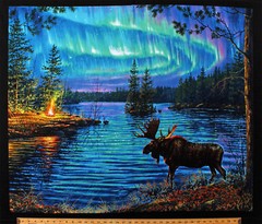 35″ X 44″ Panel Moose Northern Lights Northwoods Landscape Cotton Fabric D762.46