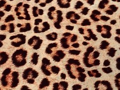 Fabric Wild Animal Kingdom Leopard Skin on Cotton KAUFMAN Cotton 1/4 yard 74-286