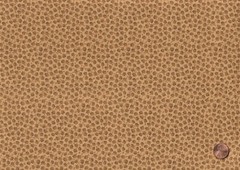 Brown Natural Golden Beige JELLY ROLL: 20) 2 1/2″ Strips, 100% Cotton Fabric