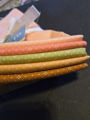 Cinnamon & Cream Eyelets Half Yard Bundle By Plain Janes & Co By Moda.