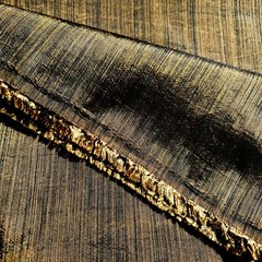 Metallic Gold Black Stripe Taffeta Fabric, Luxury Lining, Light Weight Faux Silk