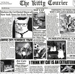Timeless Treasures – Quirky Cats – Cat Newspaper – Newsprint