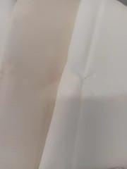 Luxury Quilt Fabric Ivory Gold Metallic Cream Prints Tan 6 Yards