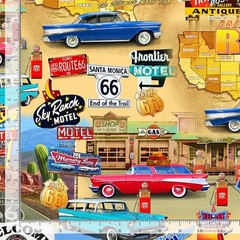 USA Route 66 Collage Fabric By Yard Travel Cotton Timeless Treasures CD3058