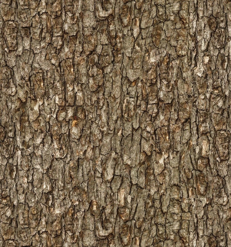 Elizabeth Studio Walnut Brown Tree Bark Cotton Quilt Fabric by the Yard