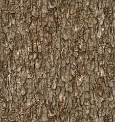 Elizabeth Studio Walnut Brown Tree Bark Cotton Quilt Fabric by the Yard