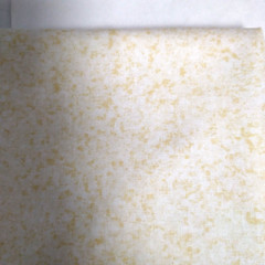 Vanilla/Cream Color Blends Allover Fabric Material