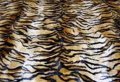 Faux Fur Gold Velboa Animal Print Siberian Tiger 60″ Wide sold By the Yard