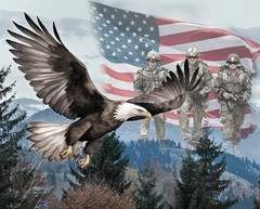 America 250 Years Colorful Eagle Fabric Panel David Textile 36 x 44 Inches