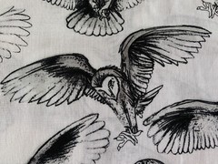 BROTHER SISTER FABRIC~Blk White~SKETCHED OWLS~Snowy~Great Horned~Barn~Screech~