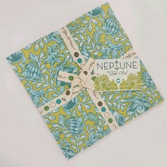 Tula Pink Neptune Moda LAYER CAKE New Complete 42, 10×10