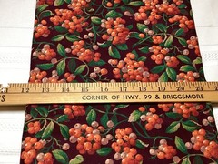 Berries & Leaves on Black Background Fabric by Concord Fabrics 1 Yard x 43” BTY
