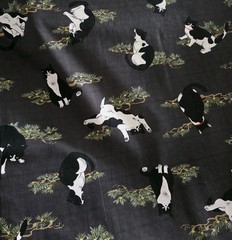 Tuxedo Cats in Black/White in Pine on Black Japanese Cotton Dobby Shirting