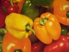 PEPPERS FOOD RED YELLOW GREEN ORANGE PEPPER COTTON FABRIC FQ