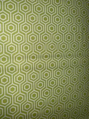 Emma & Mila Green Modern Geometric Hexagon Fabric – 100% Cotton ~ By The Yard