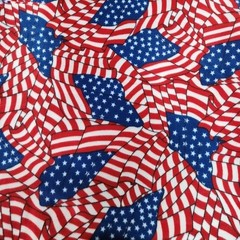 58″ Novelty Prints 360gm Polyester Soft Anti-Pill Cozy Fleece Fabric by the Yard