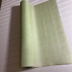 SILK light green, FABRIC 10 Yards x 22 Inches Wide or 360 Inches x 22 Wide