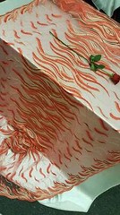 Red Gold Embroidered Lace Feathers Rinesthone Red Mesh Prom Fabric Sold by Yard