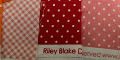 Riley Blake Designs PRECUT STRIP PACK (3″ x 21″) 24 Ct/Dots, Solids, Checks