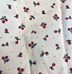 VTG 2009 Mary Engelbreit “Chair of Bowlies ” Cherries Tossed on White 22’x14″