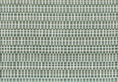 Sunbrella Fabric Binding Fern Solution Dyed Acrylic Drapery Upholstery