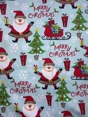 2 Coordinating Leopard Christmas Fabrics Brother Sister Cotton 44″ 1 Yard Each