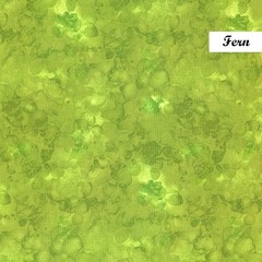 Solid-ish Tone on Tone cotton fabric BTY Timeless Treasures FERN Green Tonal