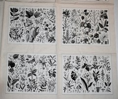 Andover Fabrics Cotton Fabric Panel Floral Botanical Quilt Blocks HTF OOP