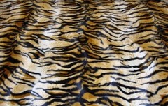 Siberian Tiger Gold Velboa upholstery Fabric per yard 60” wide