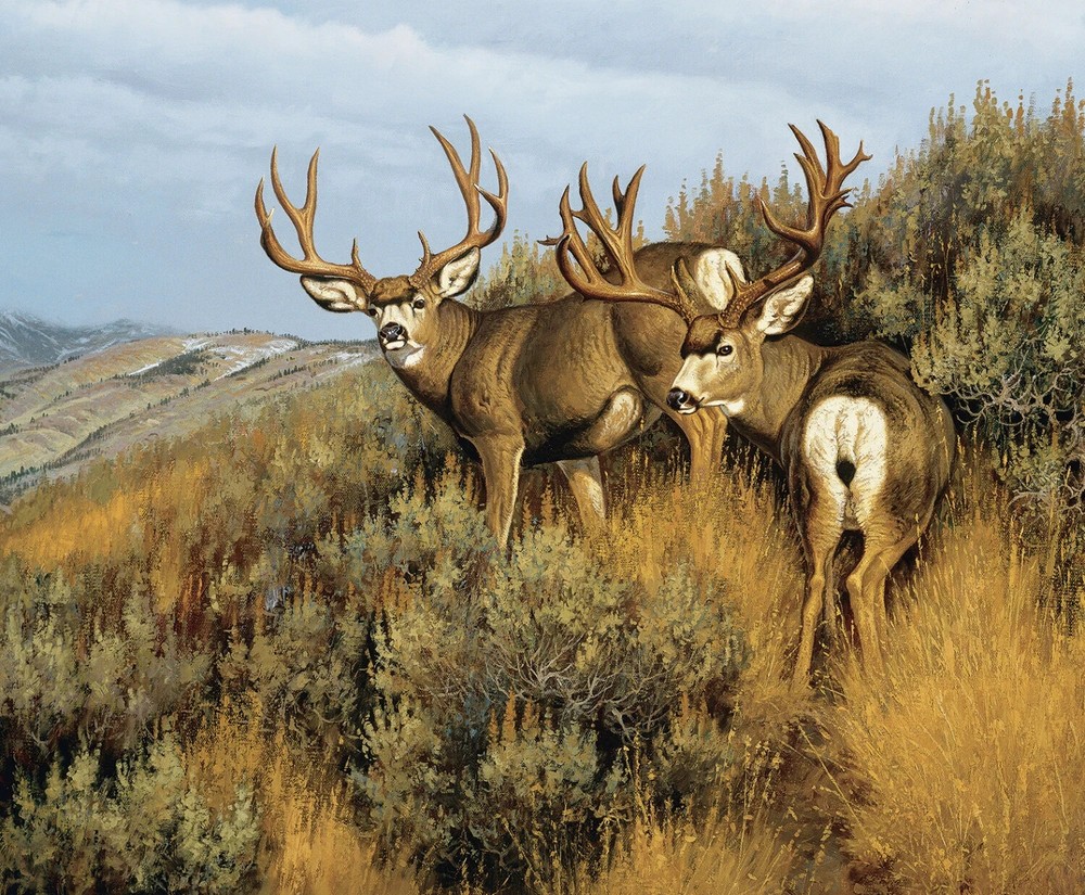 Majestic in Nature Digitally Printed 36in x 43in Low Country Mulies Panel Deer
