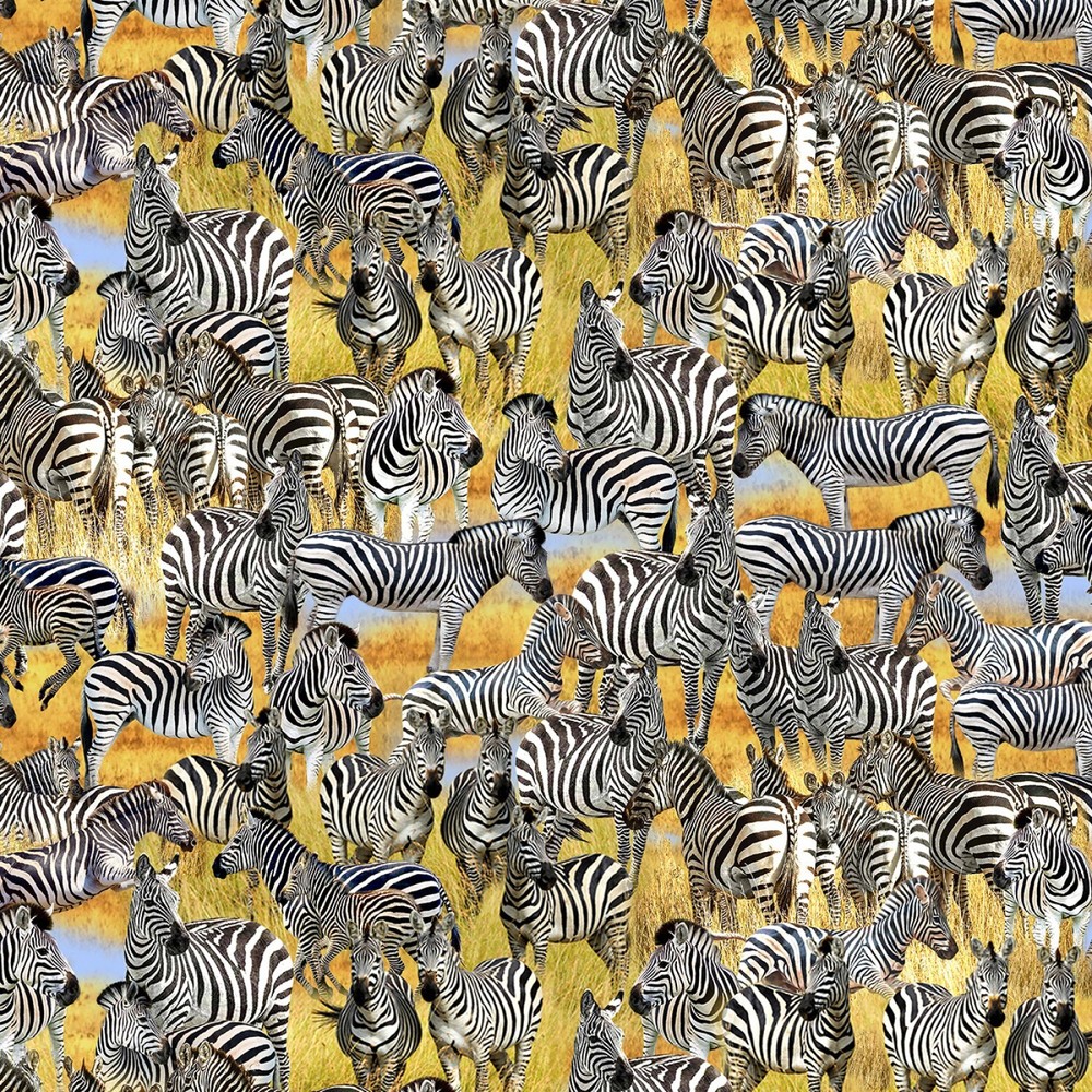 Black/White Savanna Dazzle Serengeti Plains BTY Michael Miller 44″ Wide