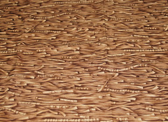 ROBERT KAUFMAN 10th Anniversary 1989-1999 ‘Native Plains’ Cotton Fabric 3/4 yds