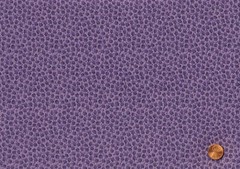 Purple JELLY ROLL: 20) 2 1/2″ x 44″ Strips, 100% Quilting Cotton Fabric