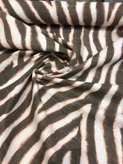 Zany Zebra Blush Drapery Upholstery Ronnie Gold Home Accent Fabric By The Yard