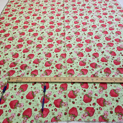 VTG Strawberry Shortcake Those Characters From Cleveland 2003 Flannel Green BTY