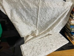 Stunning Cream (Silk?) Beaded Material
