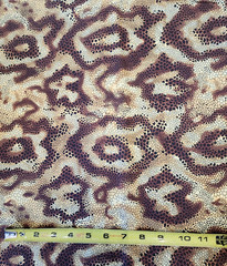 Snake skin Cotton print fabric by the HALF Yard, Animal Skin Cotton Quilt Fabric