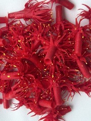 50 PCS Small Fabric Flower for Jewelry Making DIY Craft Supplies