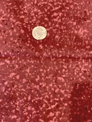 29″ MMFab Rose Speckled Raspberry Cotton Fabric OOP
