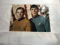 Star Trek Captain Kirk Dr Spock SEWING BLOCK QUILT FABRIC MOVIE
