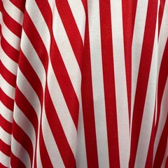 Emma RED/WHITE 1/2 Inch Stripes Printed Polyester Spandex 4-way Stretch Fabric