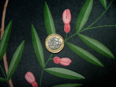Velvet Fabric Curtain Upholstery Wagtail Bird Floral Slate Cushion 15 Metres